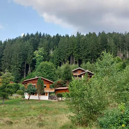 Chalet Le Ske Chalet, Terrain Cloture, Garage, Au 1 Mai 2026 Gérardmer